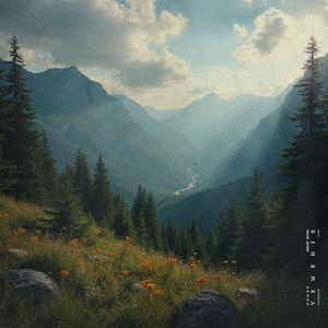 美女网站视频（黄）
