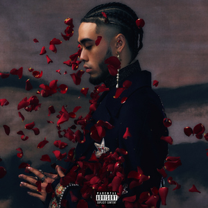 美女网站视频（黄）
