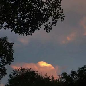 美女网站视频（黄）
