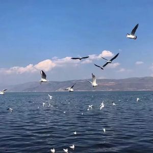 美女网站视频（黄）
