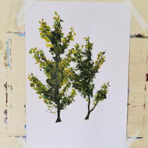 美女网站视频（黄）
