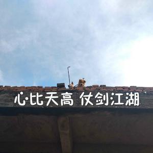 美女网站视频（黄）
